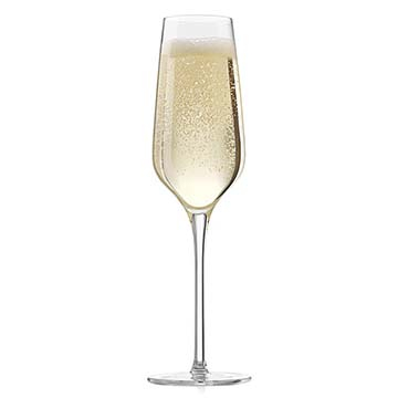 Champagne Glasses