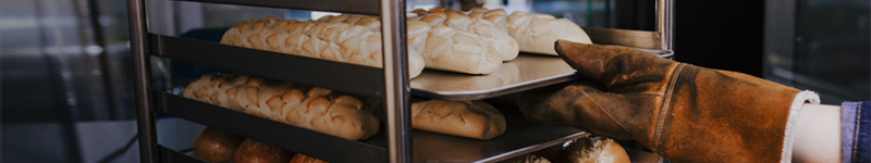 Warming & Holding Equipment