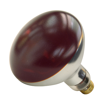 Shat-R-Shield 01713 Teflon Coated Heat Lamp Bulb, 250W, Red