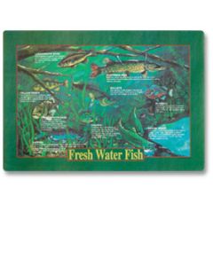 Hoffmaster 310979 Fresh Water Fish Placemat, Recycled Paper, 10"X14" (Case of 1000)