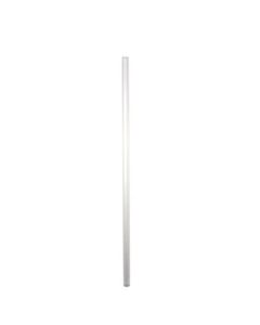 Empress E162004-IM Jumbo Unwrapped Straw, 7-3/4'', Clear (Box of 500)